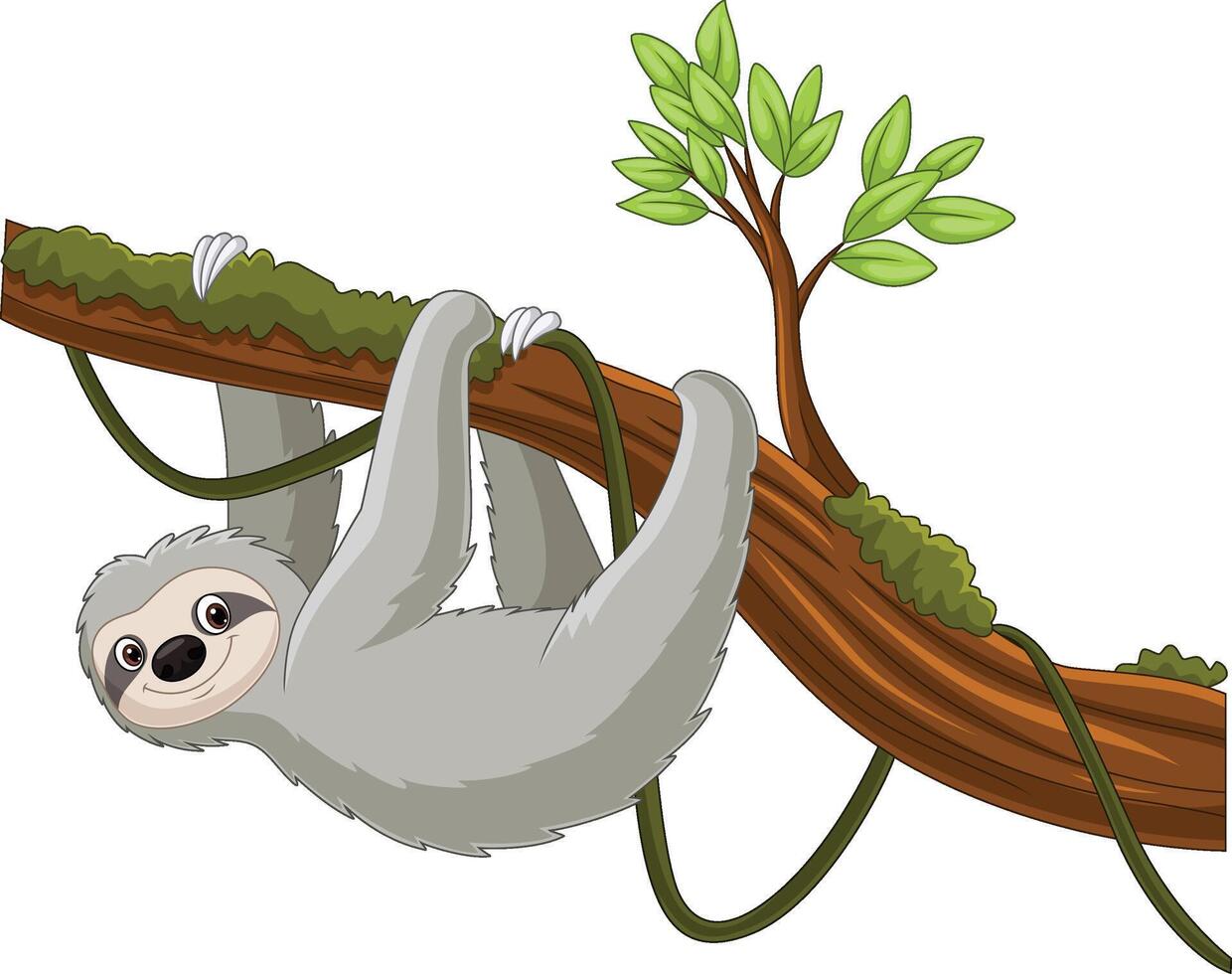 Cartoon sloth hanging on a tree branch vector
