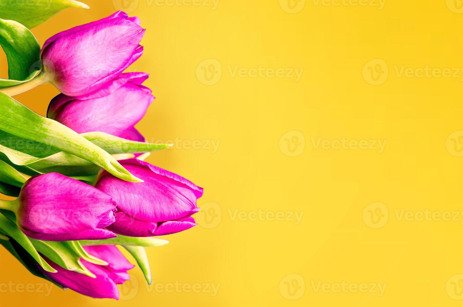 Fresh flower composition, bouquet of bi color tulips photo
