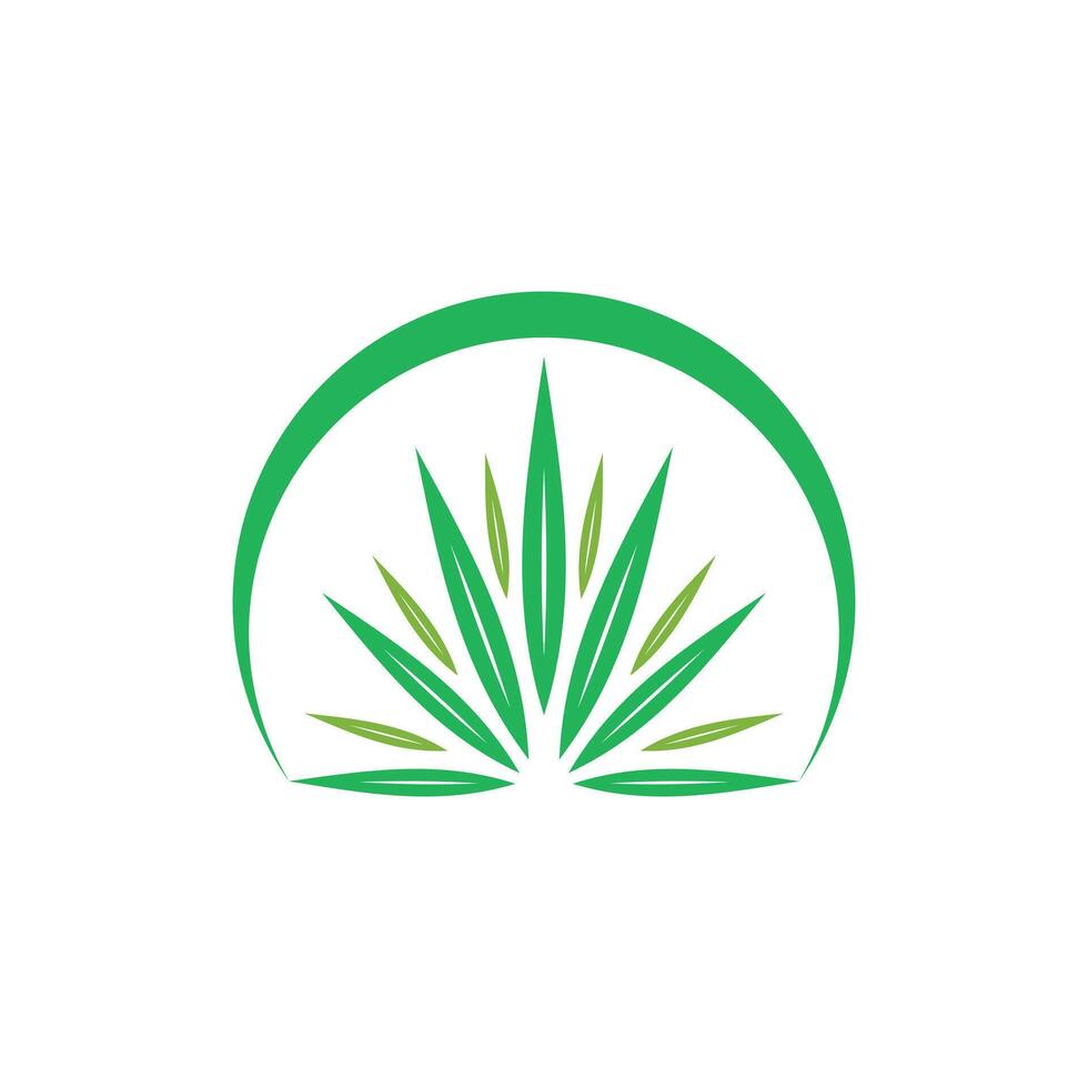 Agave Leaf natural modern simple logo, suitable for your company vector