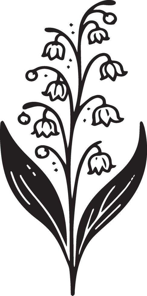 Lily of the valley flower drawing illustration, Black and white with line art, Lily of the valley flower drawing illustration, Black and white with line art on white backgrounds, lily of the valley vector