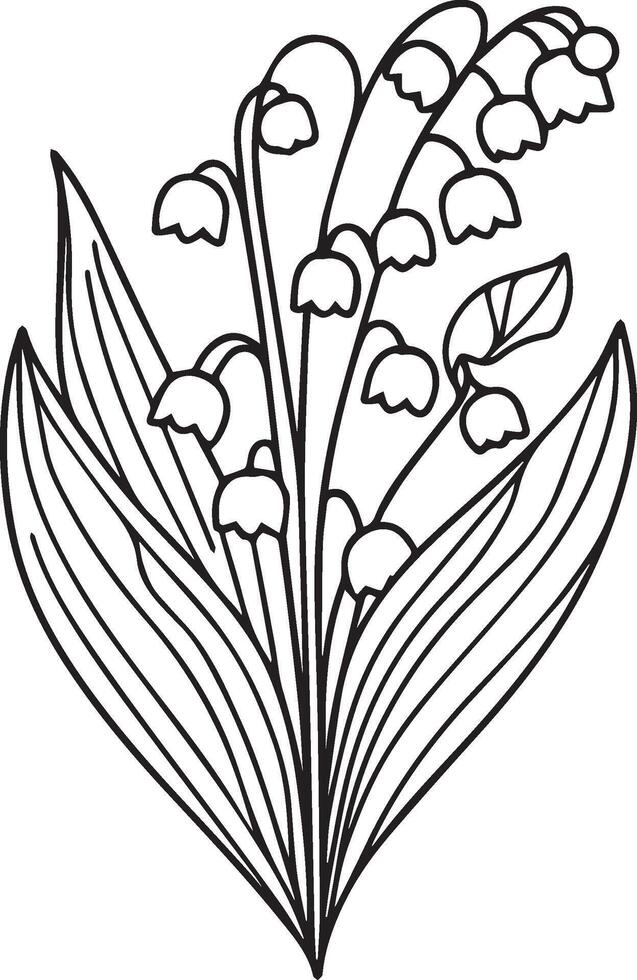 Lily of the valley flower drawing illustration, Black and white with line art, Lily of the valley flower drawing illustration, Black and white with line art on white backgrounds, lily of the valley vector