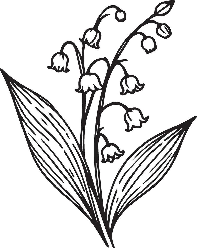 isolated simple minimal one lily of the valley branch twig with glowers and leaves colorless black and white contour line easy drawing coloring pages for kids, lily of the valley coloring page vector