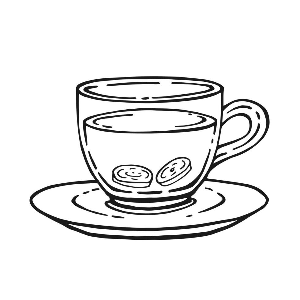 Cup of tea with healthy tea, ginger. Hand drawn illustration in outline style. vector