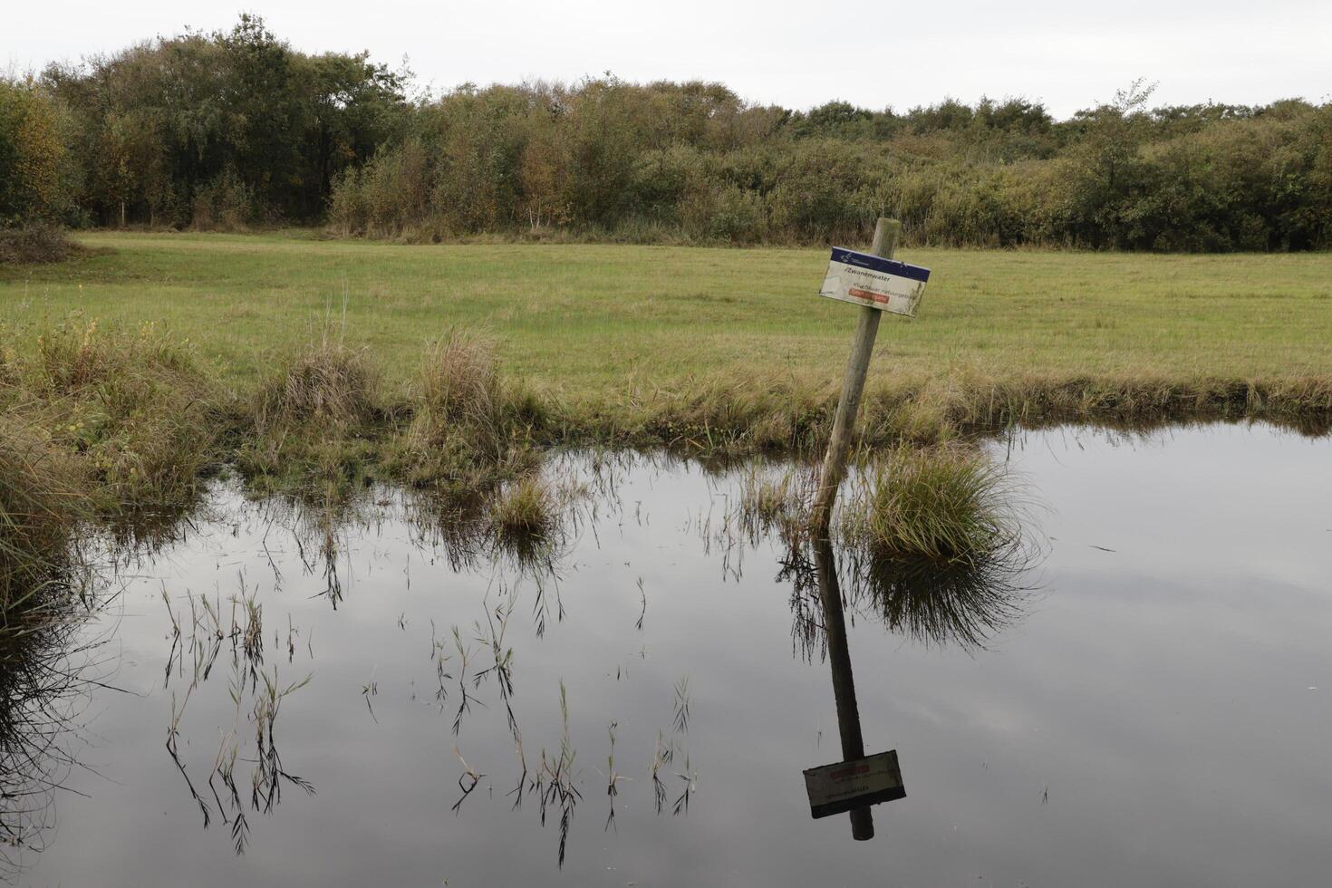 Zwanenwater nature park in the autumn, netherlands photo
