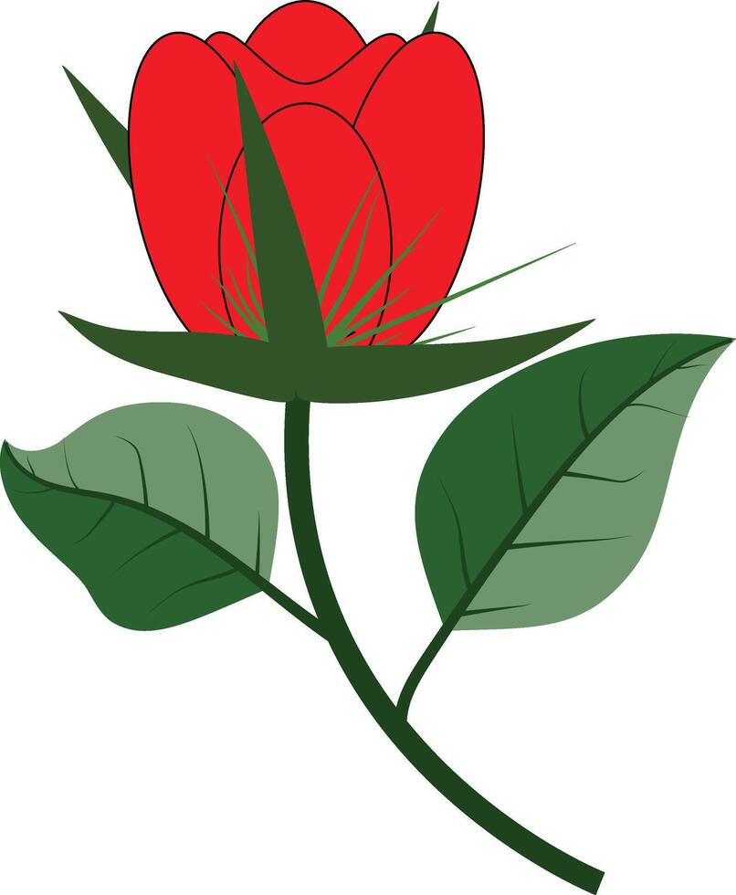 Rose Flower Design vector