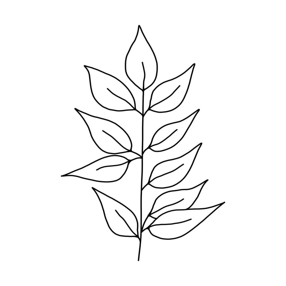 Leaves and twigs on an isolated white background vector