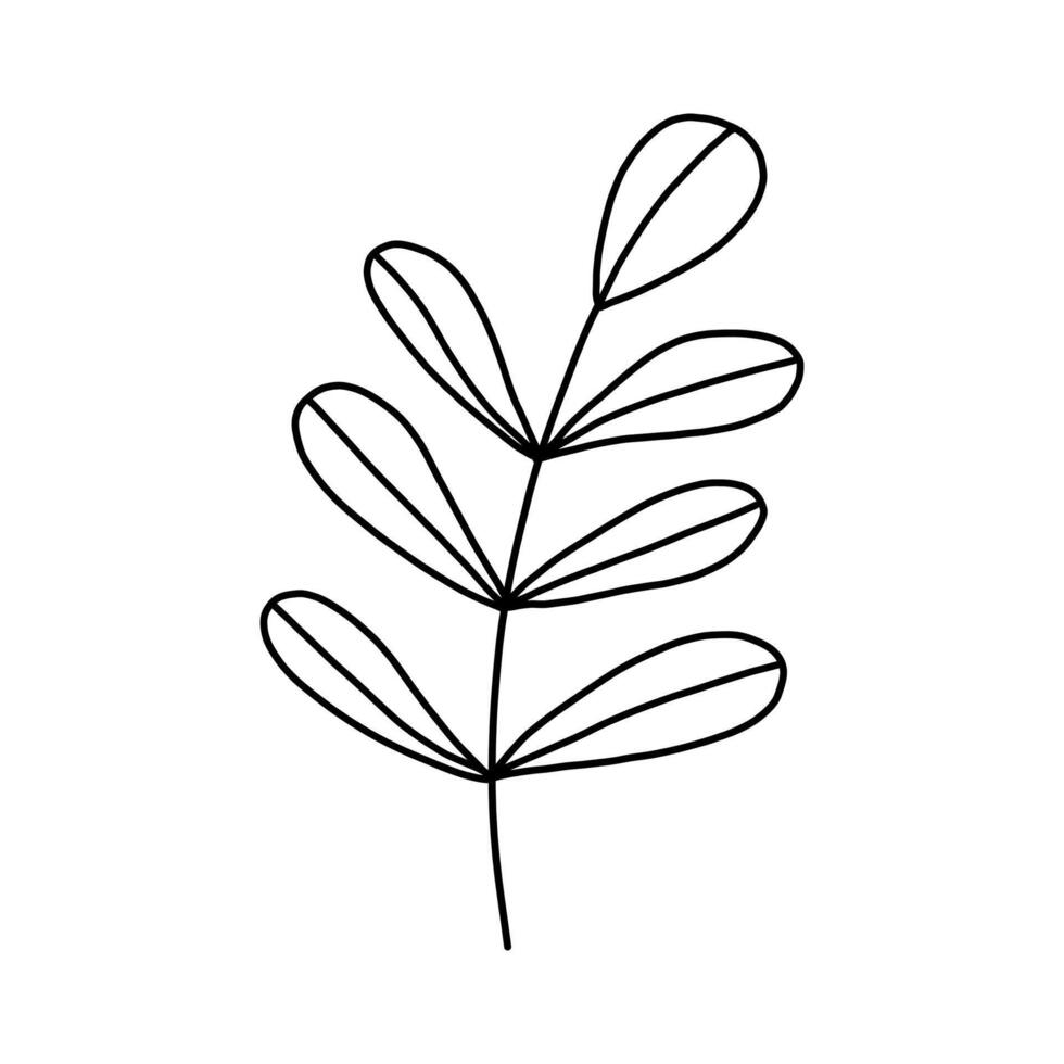 Leaves and twigs on an isolated white background vector