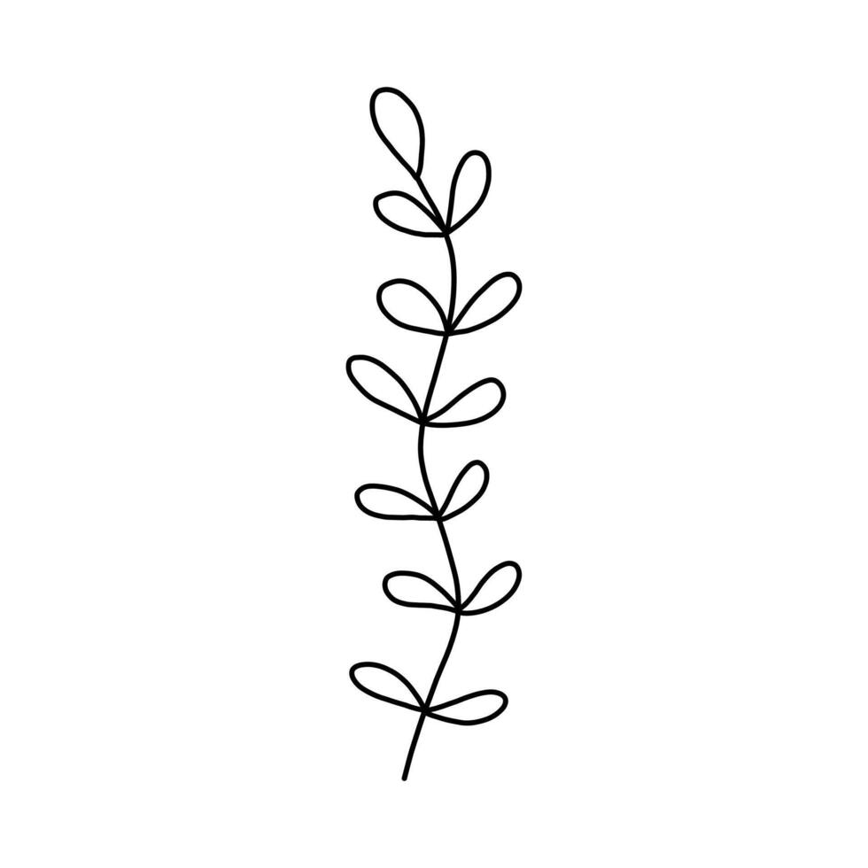 Leaves and twigs on an isolated white background vector