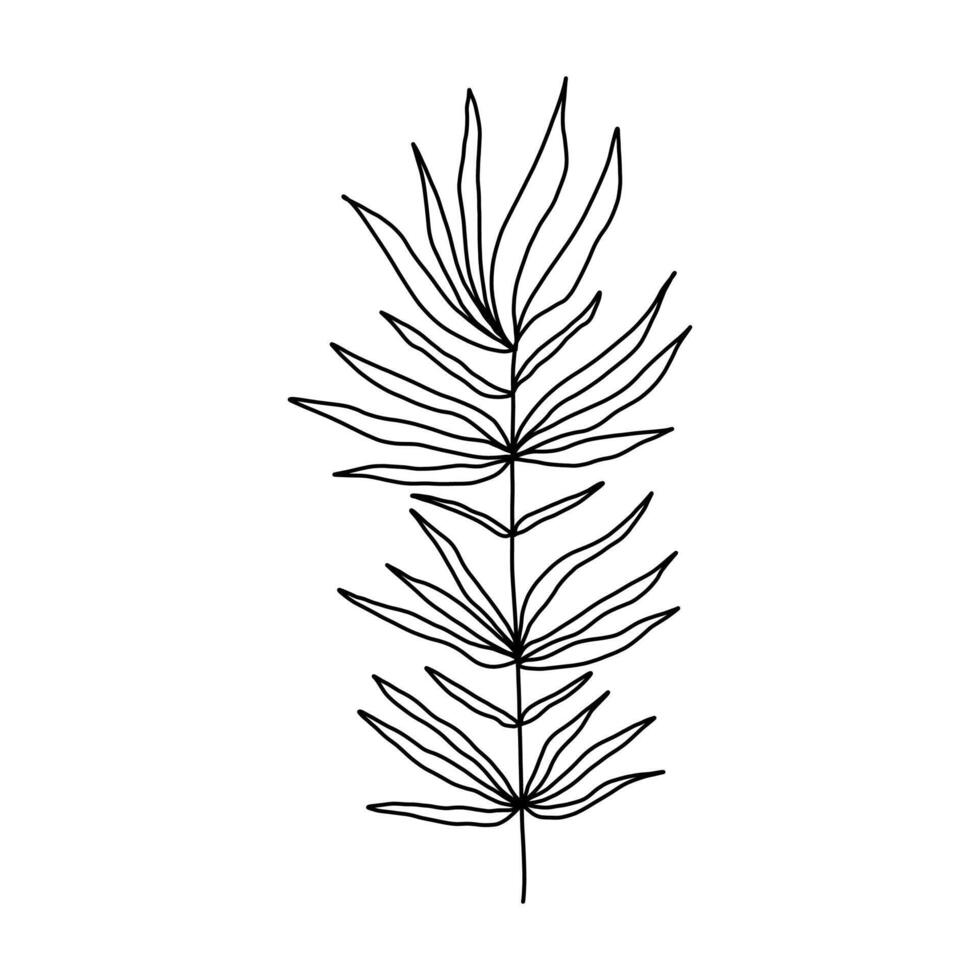 Leaves and twigs on an isolated white background vector