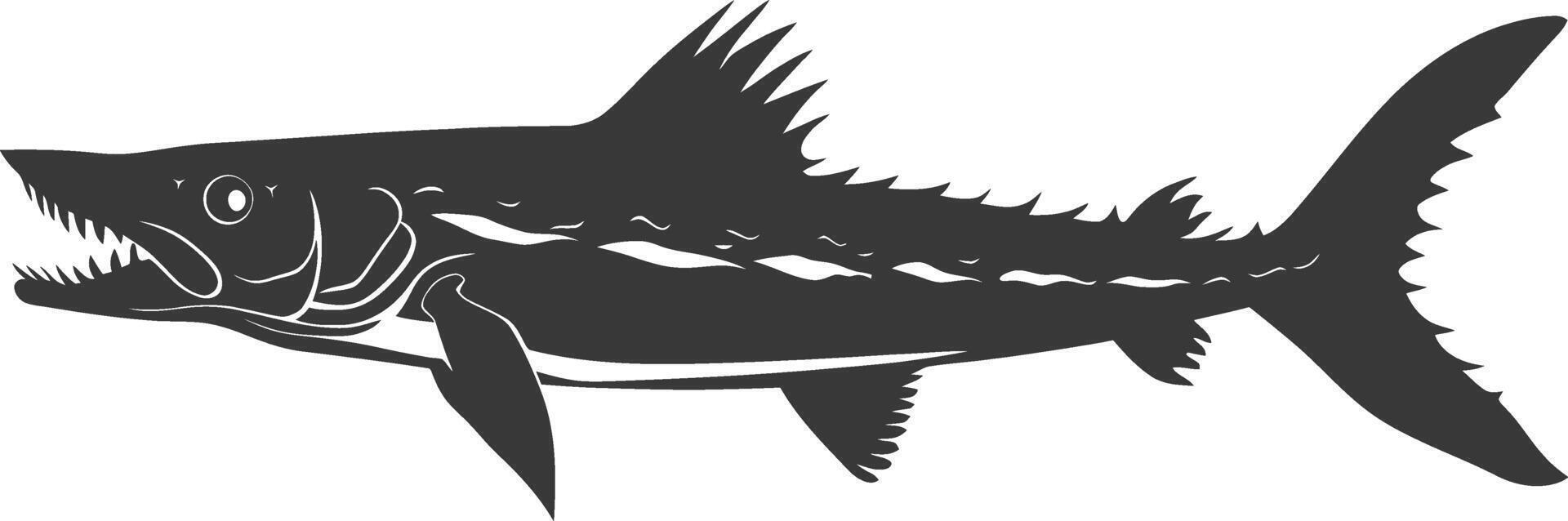 Silhouette Barracuda animal black color only vector