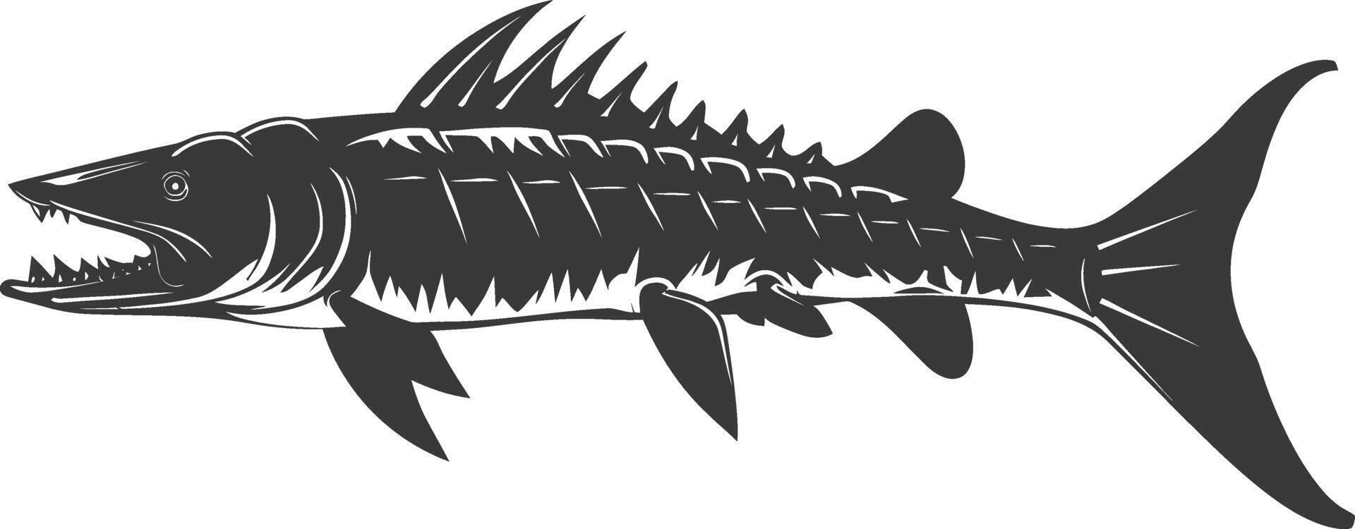 Silhouette Barracuda animal black color only vector