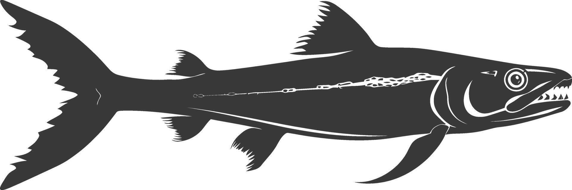 Silhouette Barracuda animal black color only vector