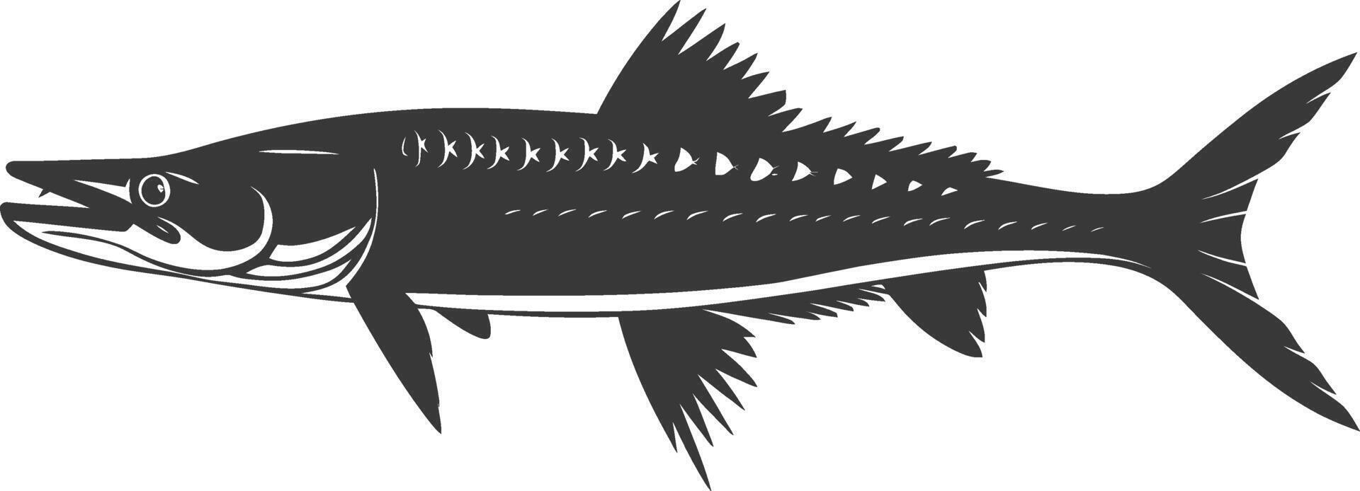 Silhouette Barracuda animal black color only vector