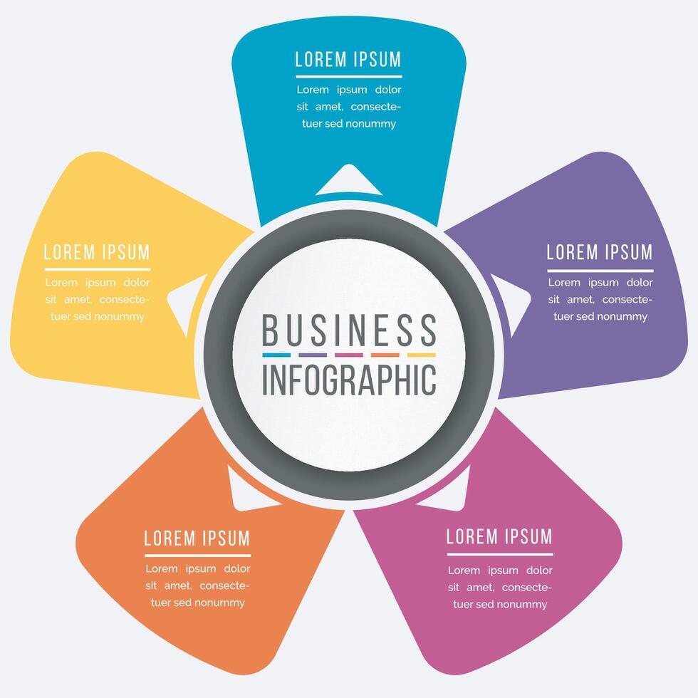 Infographic design 5 steps or options business information colorful template vector