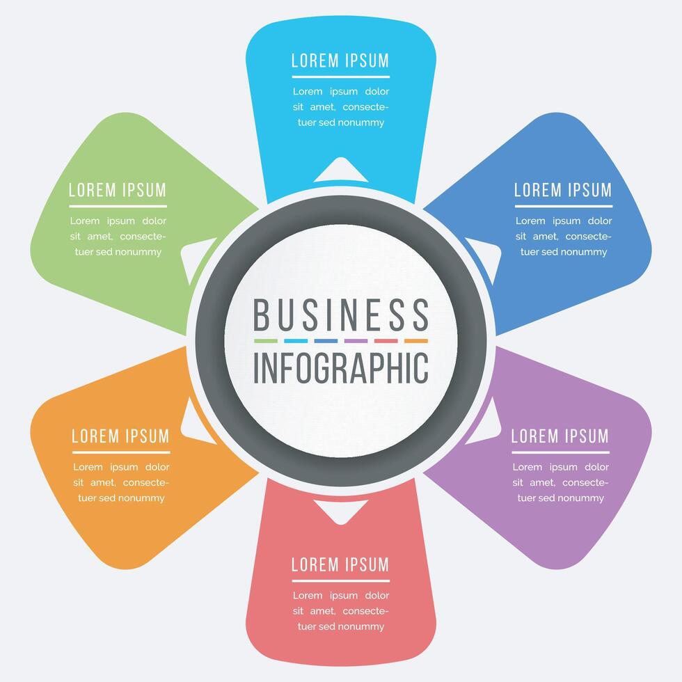 Infographic design 6 steps or options business information colorful template vector