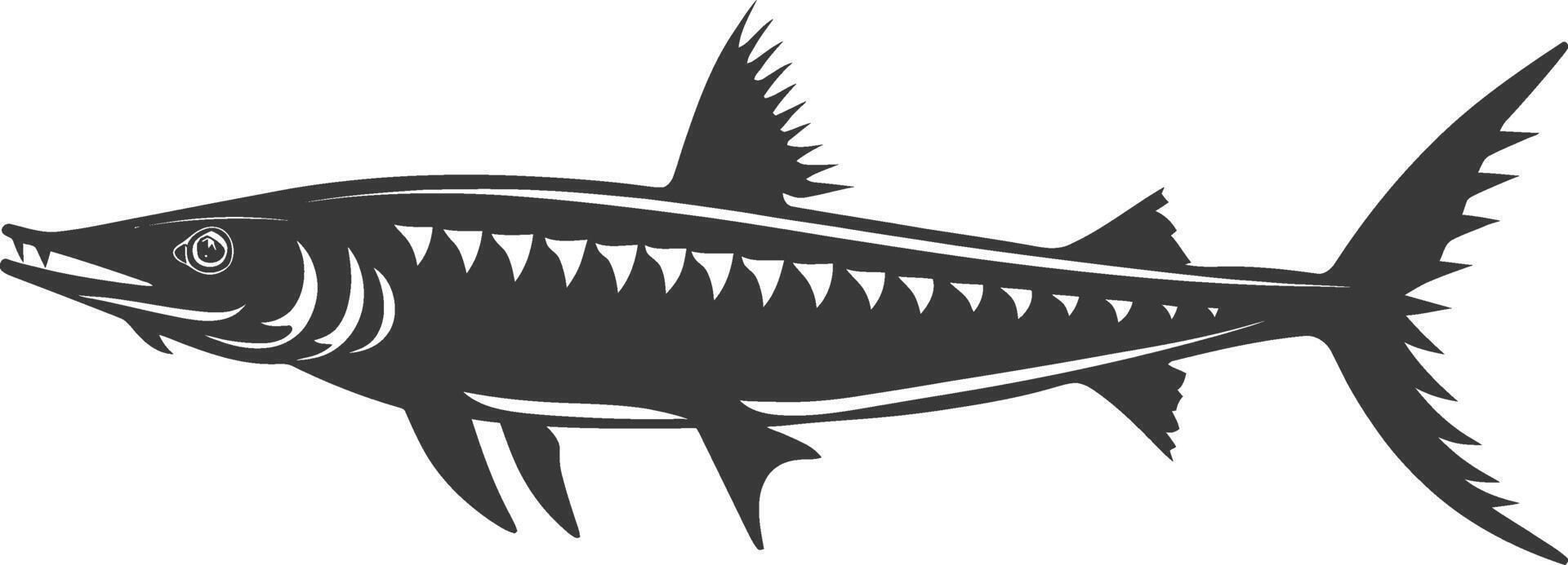 Silhouette Barracuda animal black color only vector