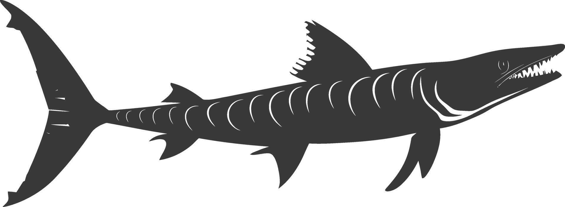 Silhouette Barracuda animal black color only vector