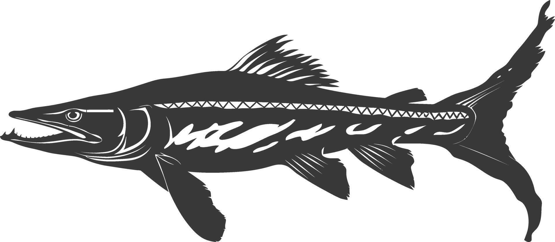 Silhouette Barracuda animal black color only vector