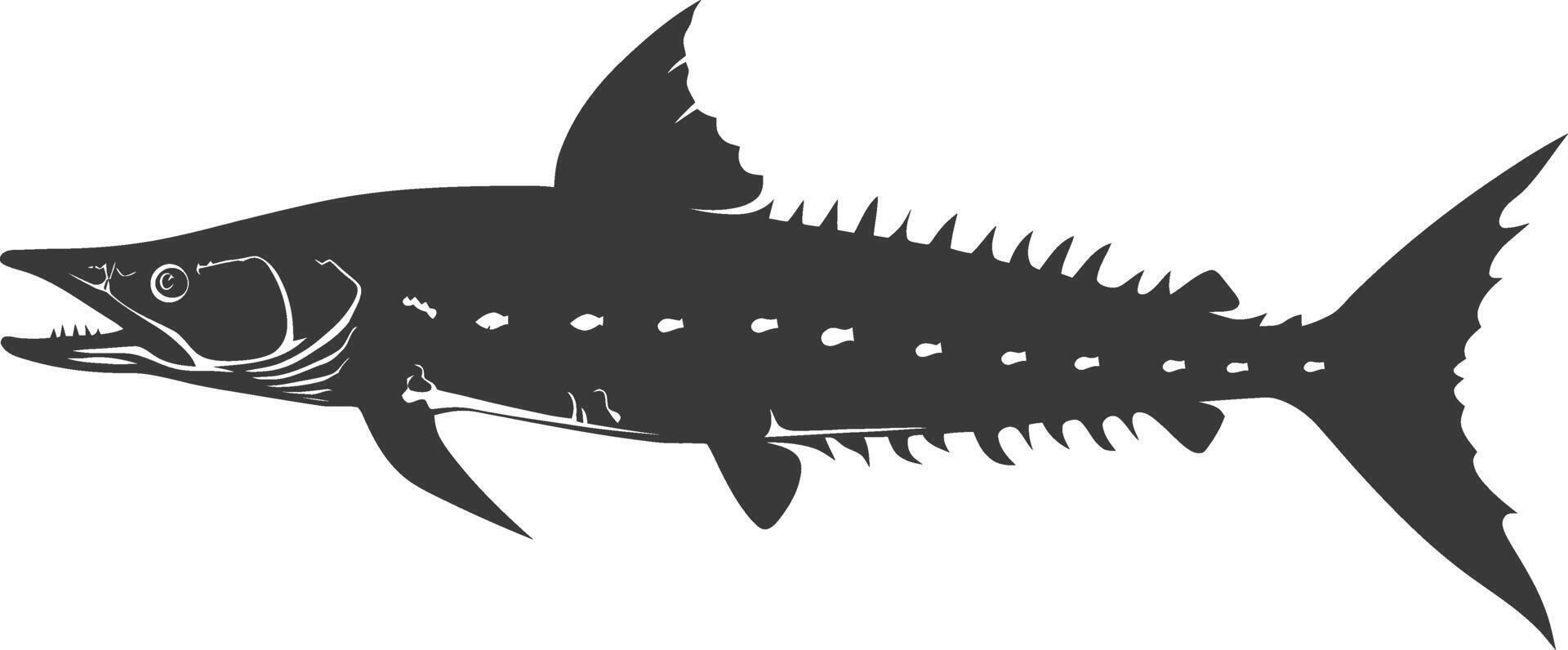 Silhouette Barracuda animal black color only vector