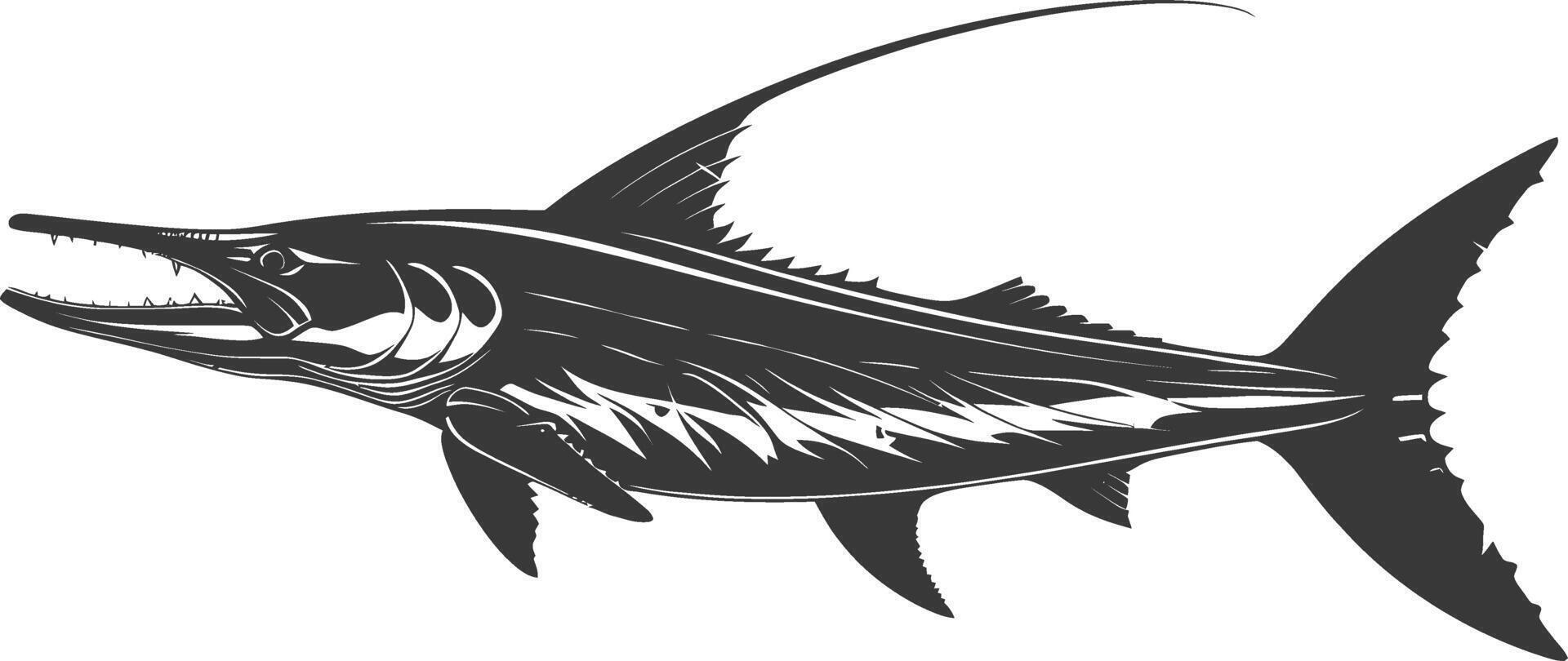 Silhouette Barracuda animal black color only vector