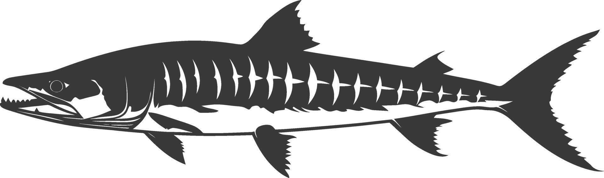 Silhouette Barracuda animal black color only vector