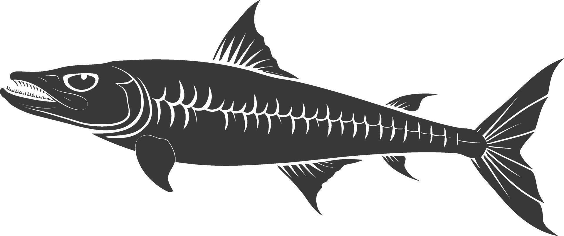 Silhouette Barracuda animal black color only vector