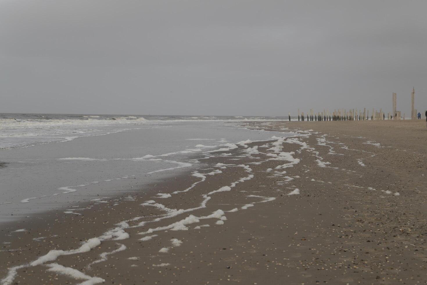 high tide line on the beach, separation between sea and beach photo