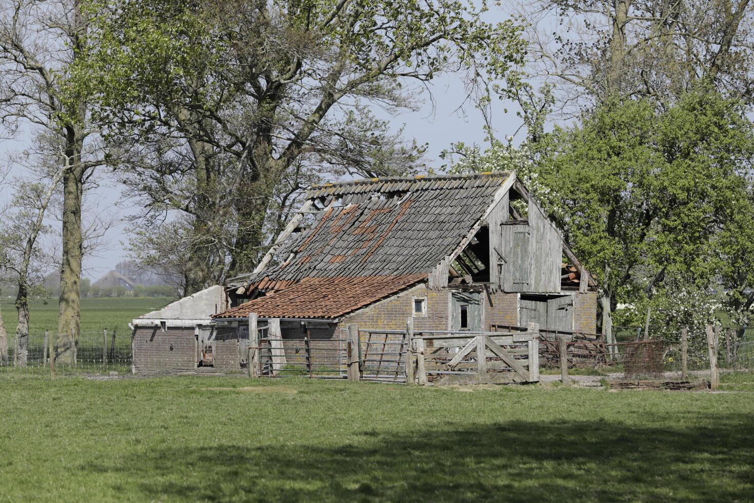 old barn in the countryside, netherlands photo