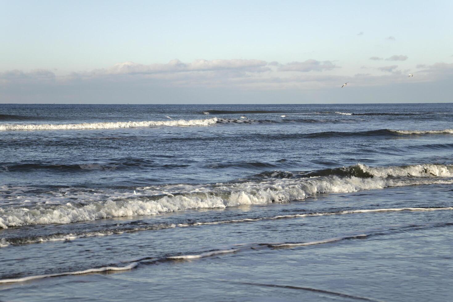north sea beach, netherlands photo