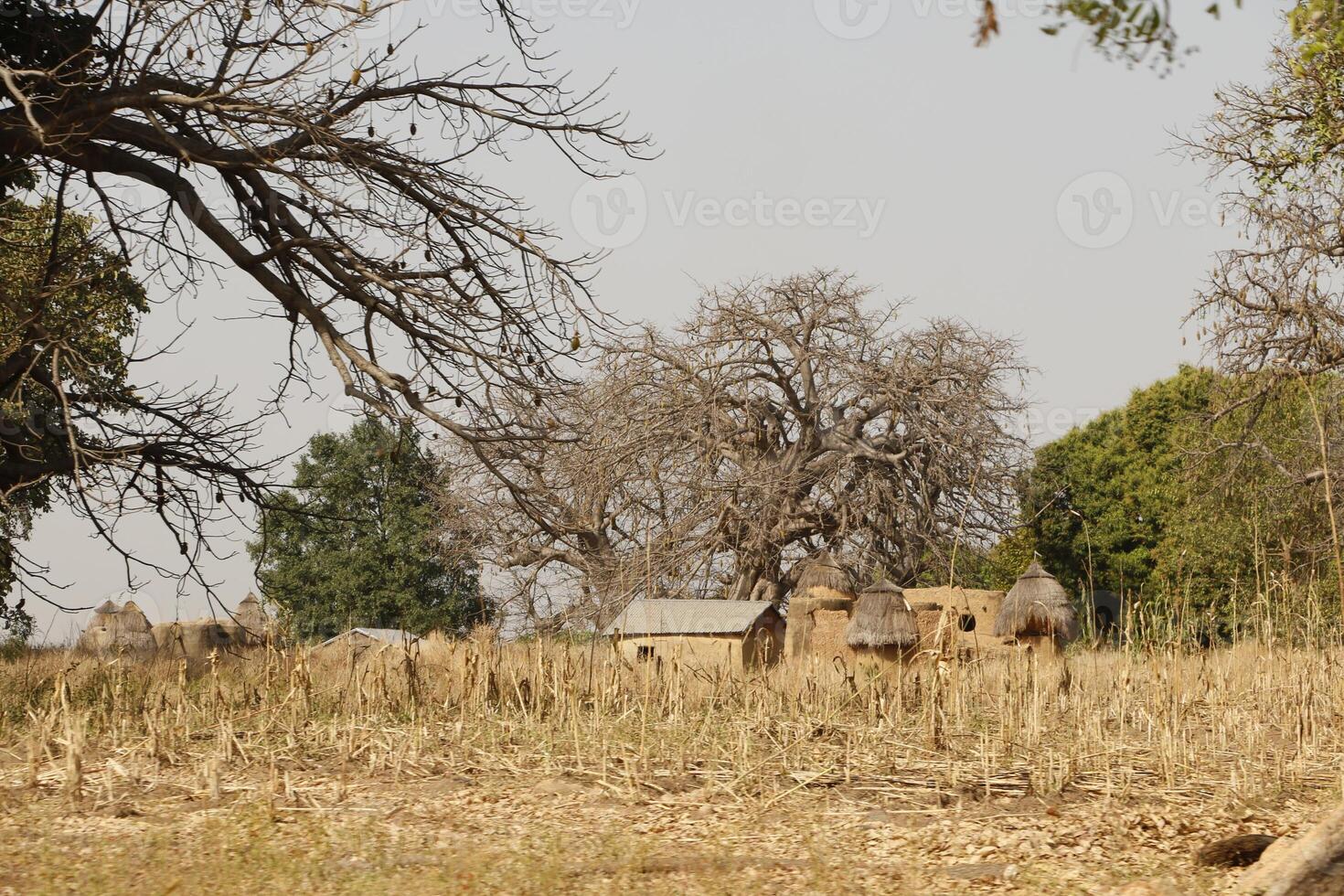 Tata Somba villages in the north of Benin photo