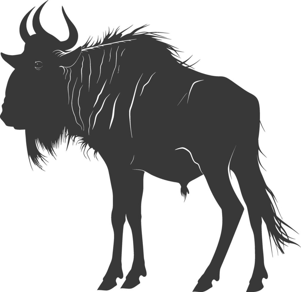 Silhouette Wildebeest animal black color only vector