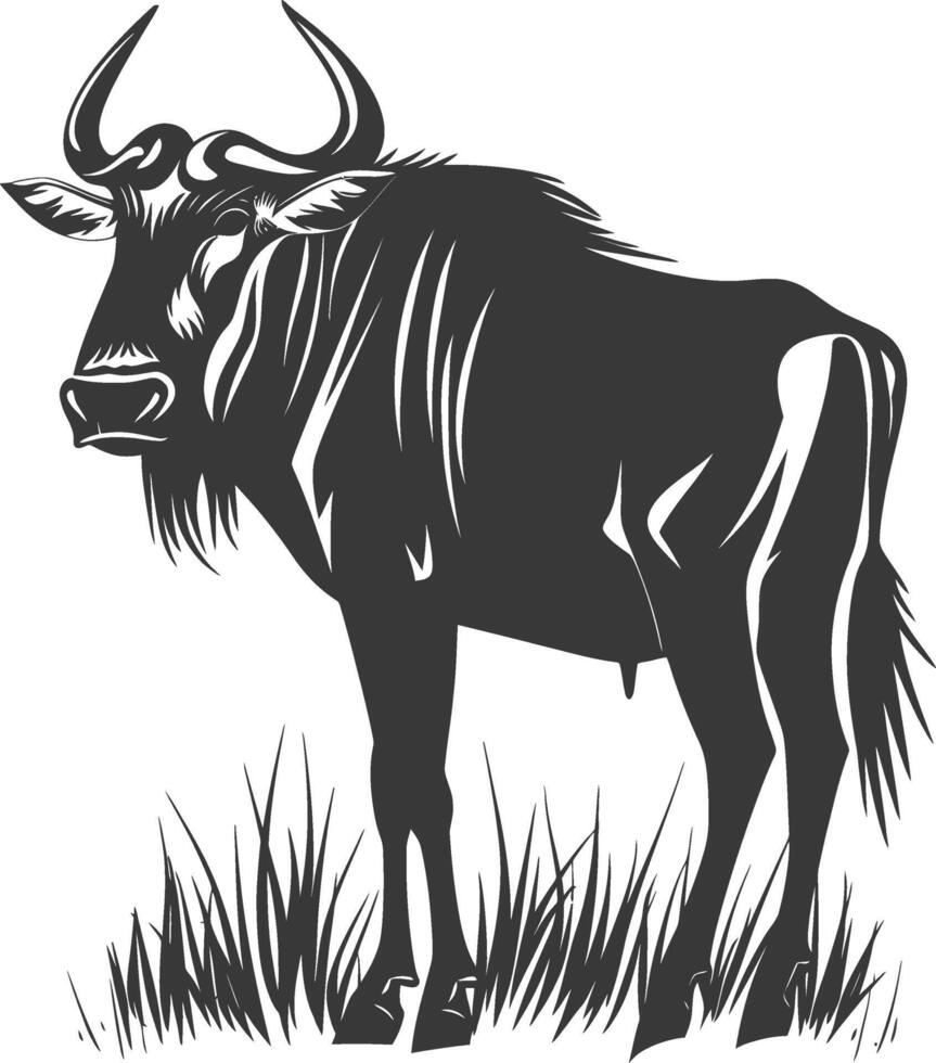 Silhouette Wildebeest animal black color only vector