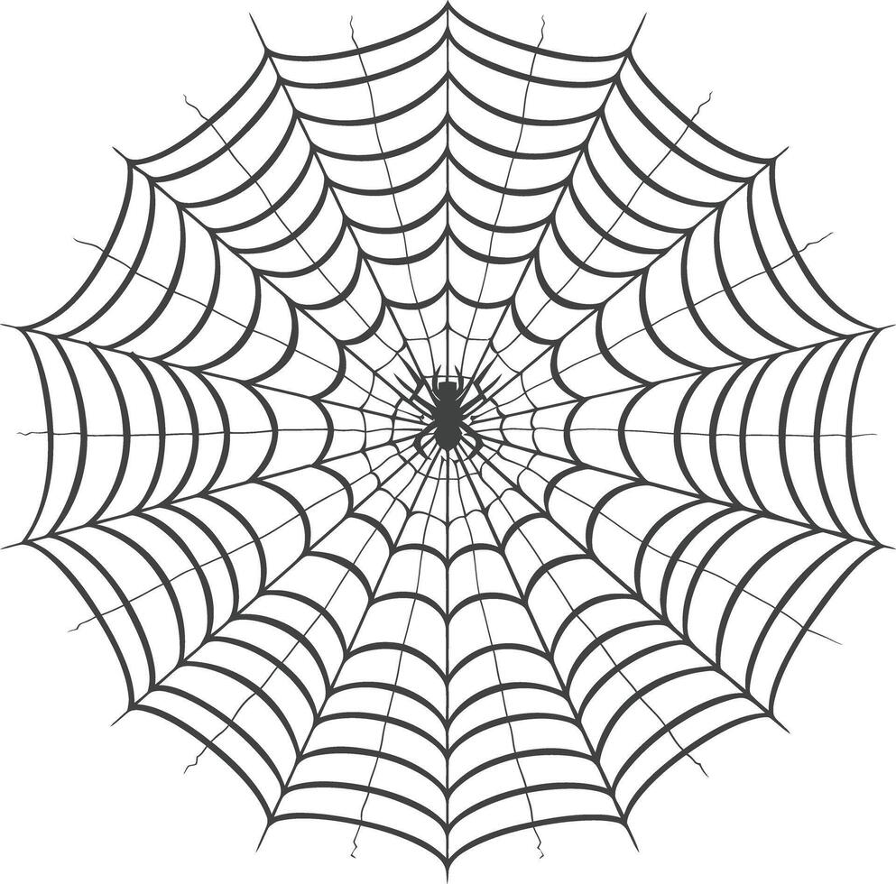 spider web black color only vector