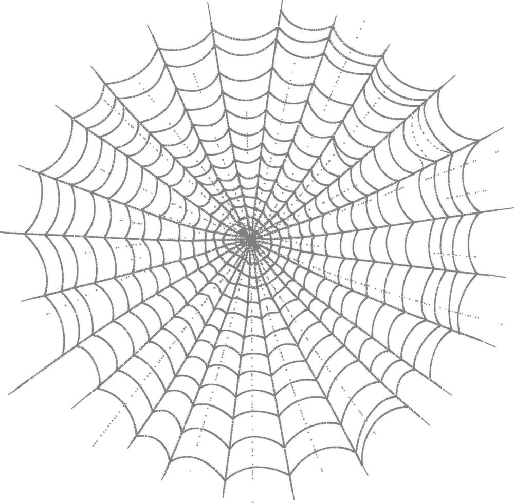 spider web black color only vector