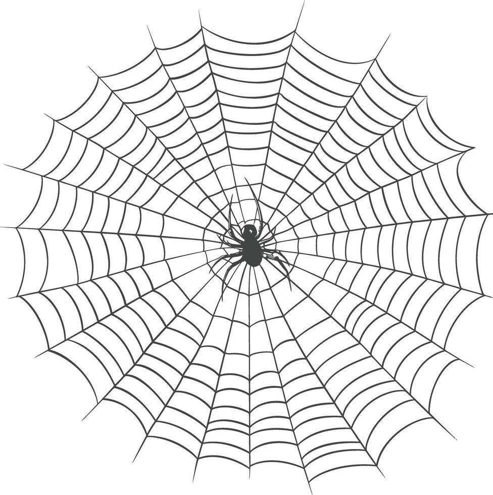 spider web black color only vector