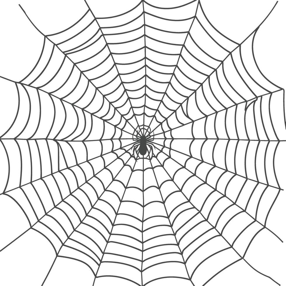 spider web black color only vector