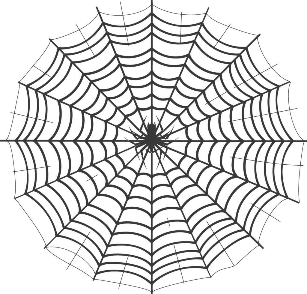 spider web black color only vector
