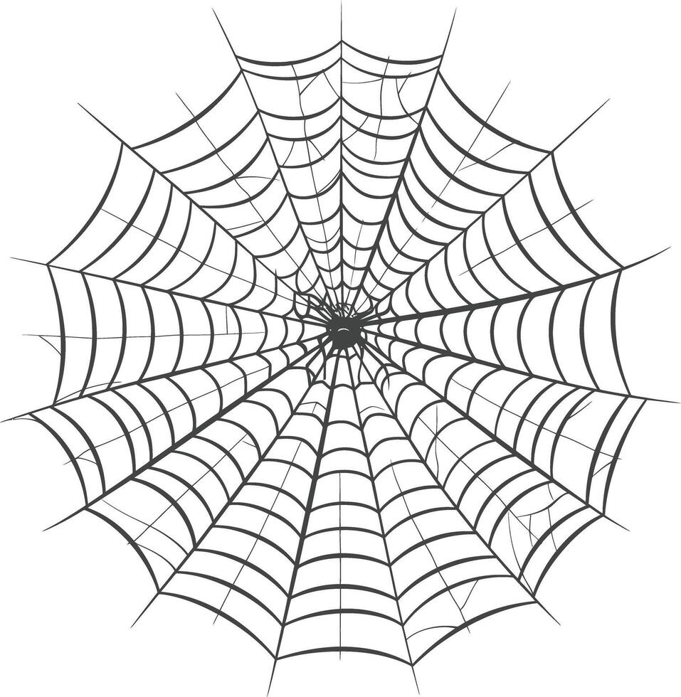 spider web black color only vector