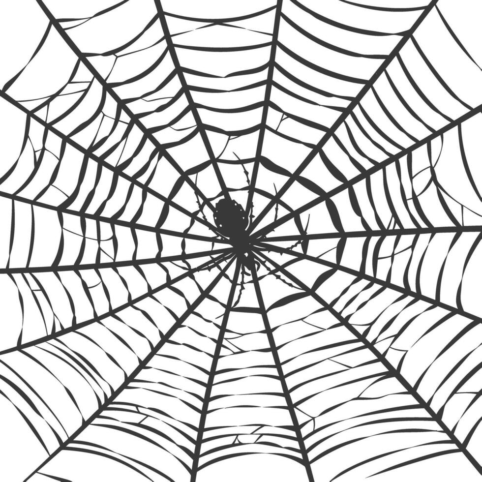 spider web black color only vector