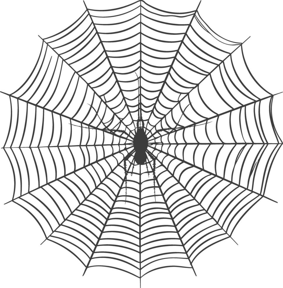 spider web black color only vector