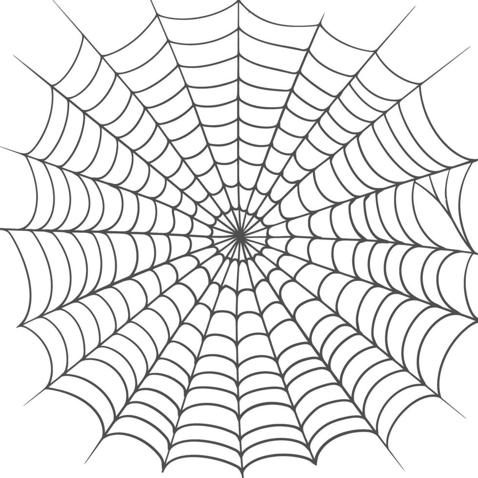 spider web black color only vector