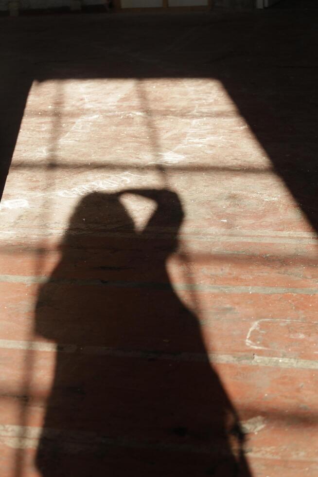 walk behind your shadow photo