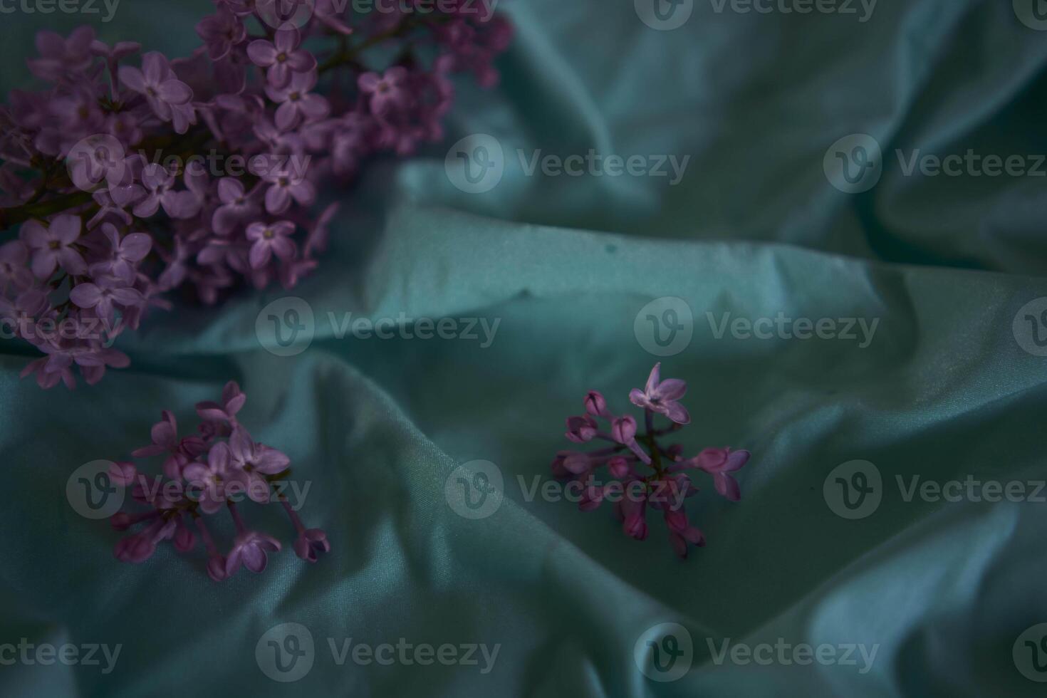 lilac on a textile background photo