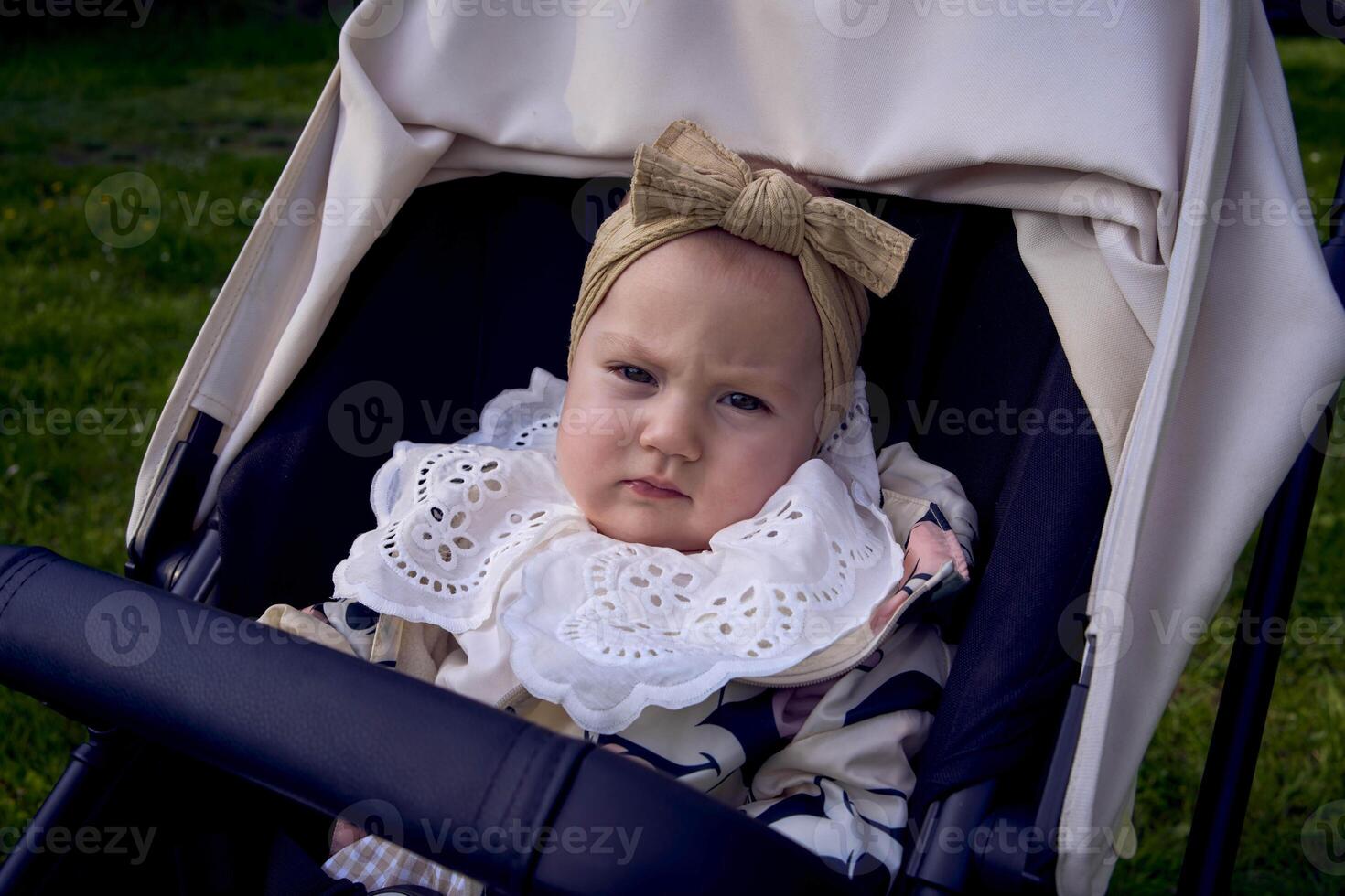 cute baby in a stroller in the park photo