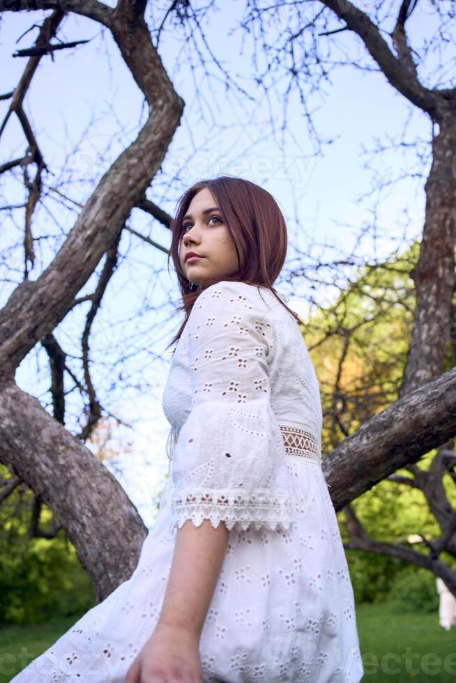 teenage girl in a white dress on a tree photo