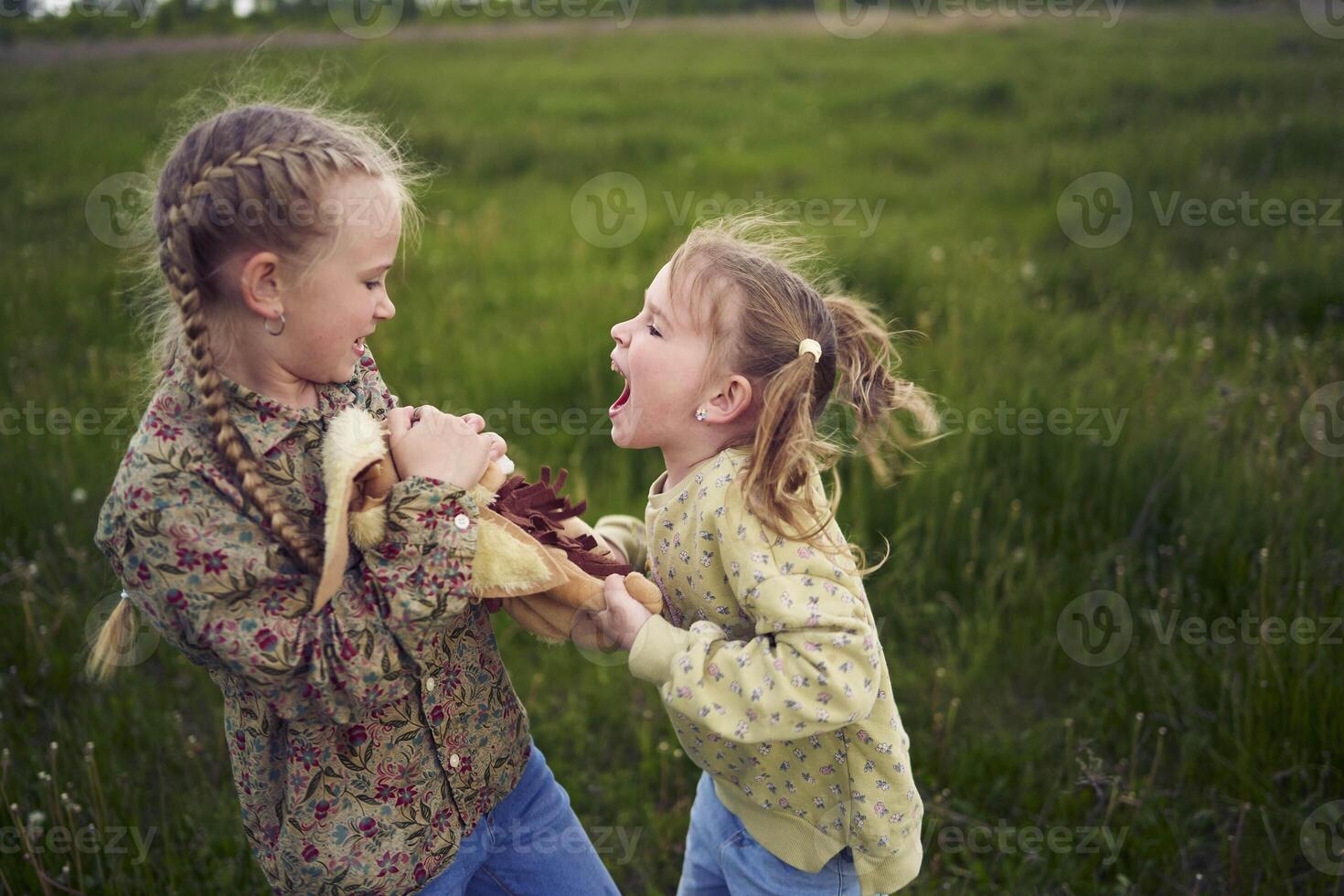 sisters fight over a toy bunny photo
