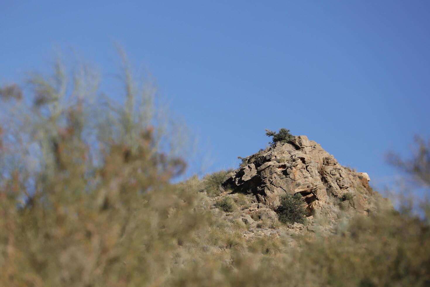 mountain views in the almanzora valley photo