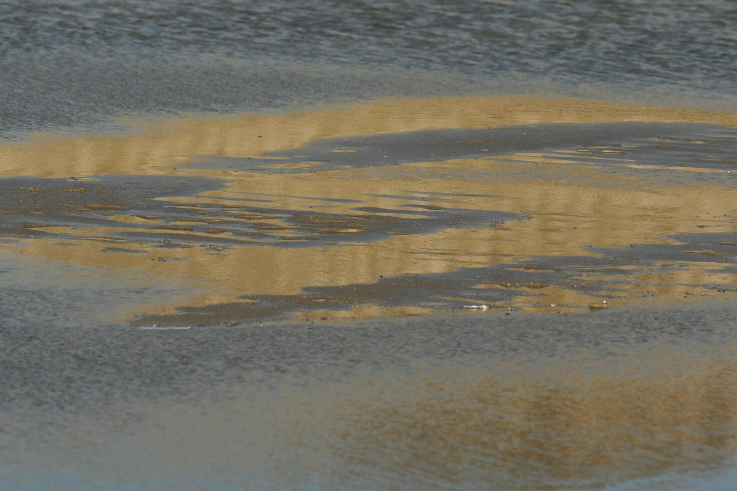 reflection of the clouds in the water on the sandthe north sea at petten, the netherlands photo