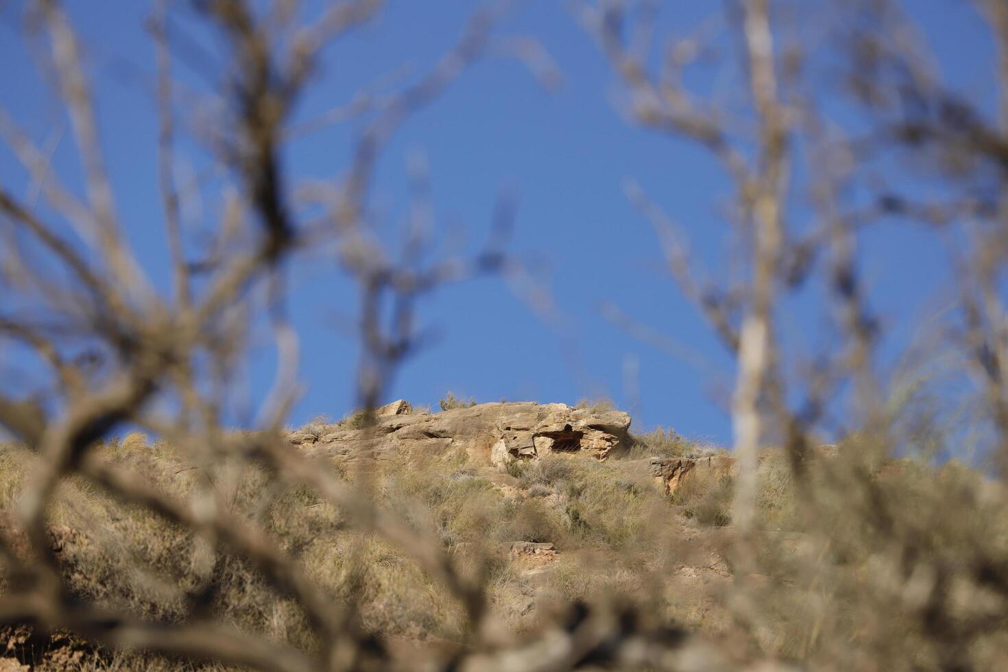 mountain views in the almanzora valley photo