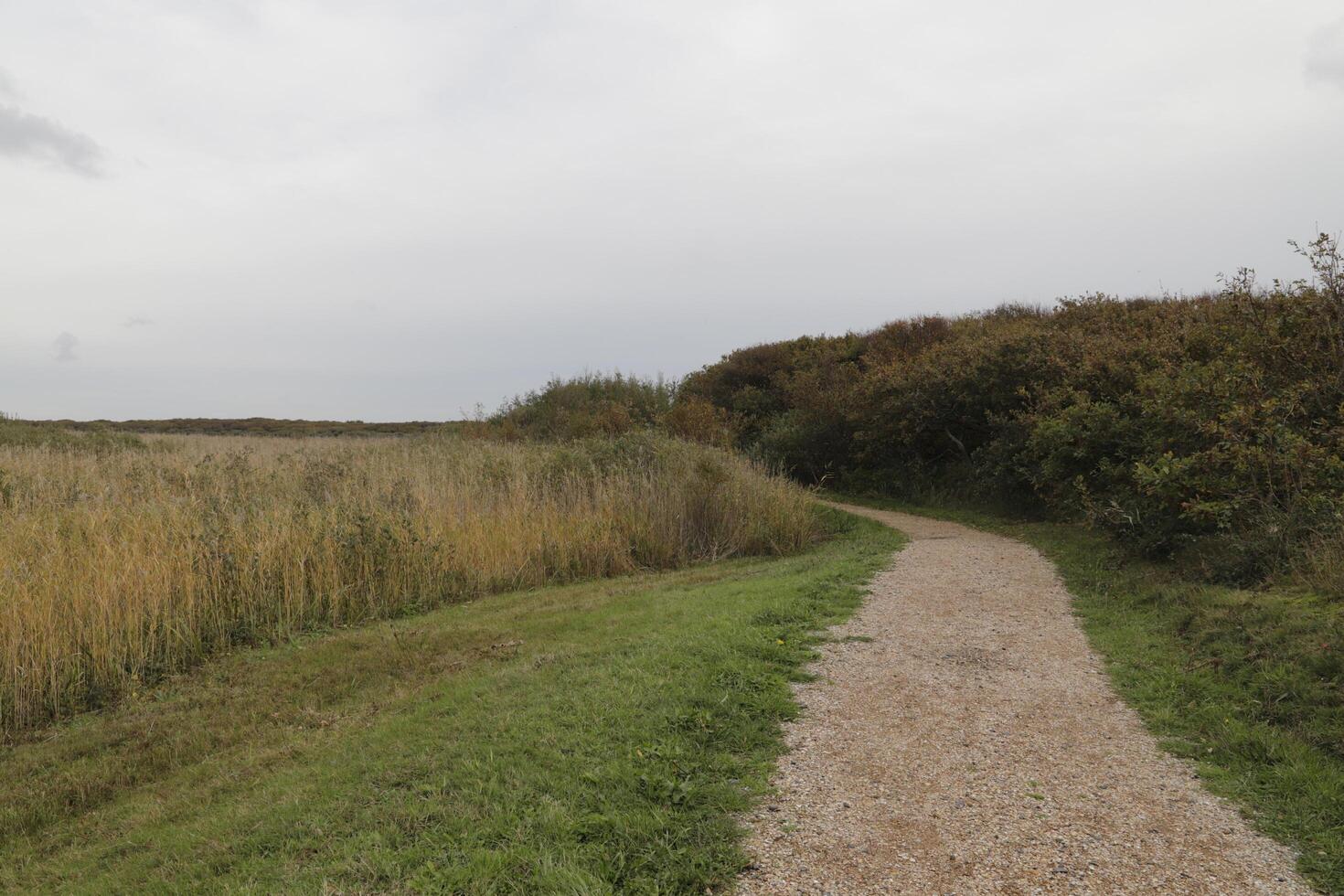Zwanenwater nature park in the autumn, netherlands photo